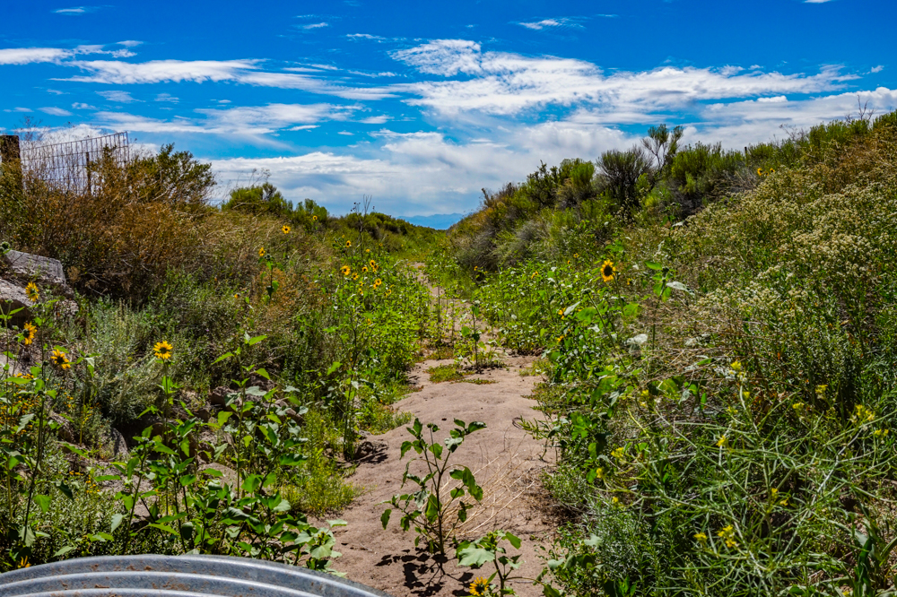 milehighruralland.com_APN528334404031 and 528334404030