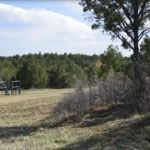 milehighruralland.com_APN10231000