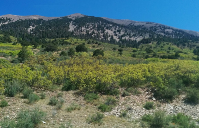 milehighruralland.com