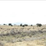 milehighruralland.com_ APN12600580