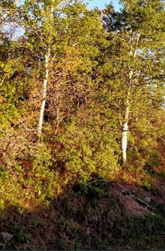 milehighruralland.com_APN15731400055