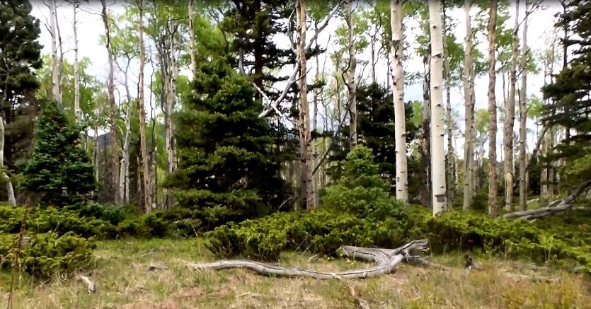 milehighruralland.com_Cuchara Mountain Park Lot for Sale