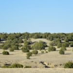 milehighruralland.com_APN12035300