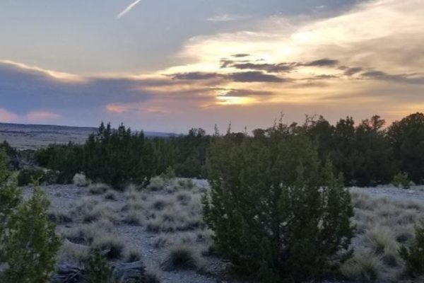 milehighruralland.com_APN14095700