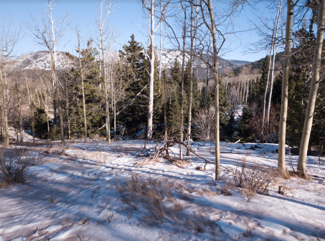 milehighruralland.com_APN122437 (Lot 12)