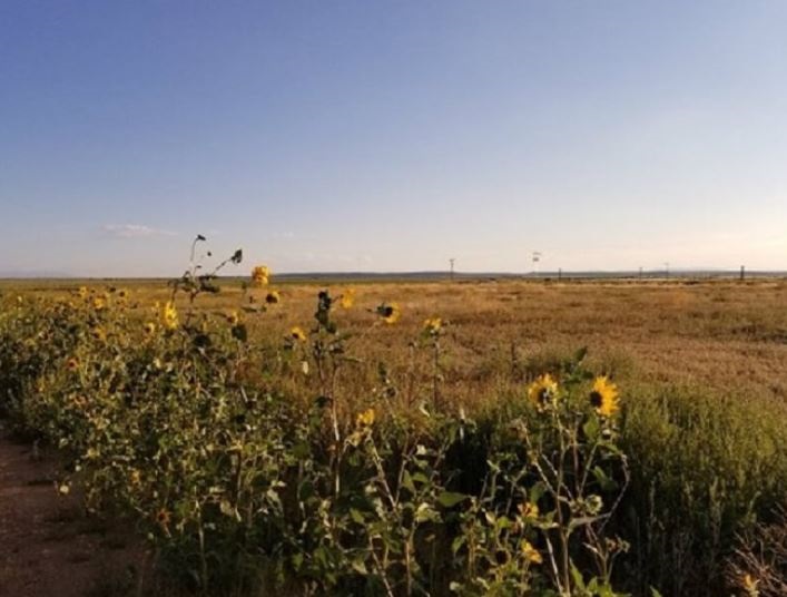 milehighruralland.com_APN70203310