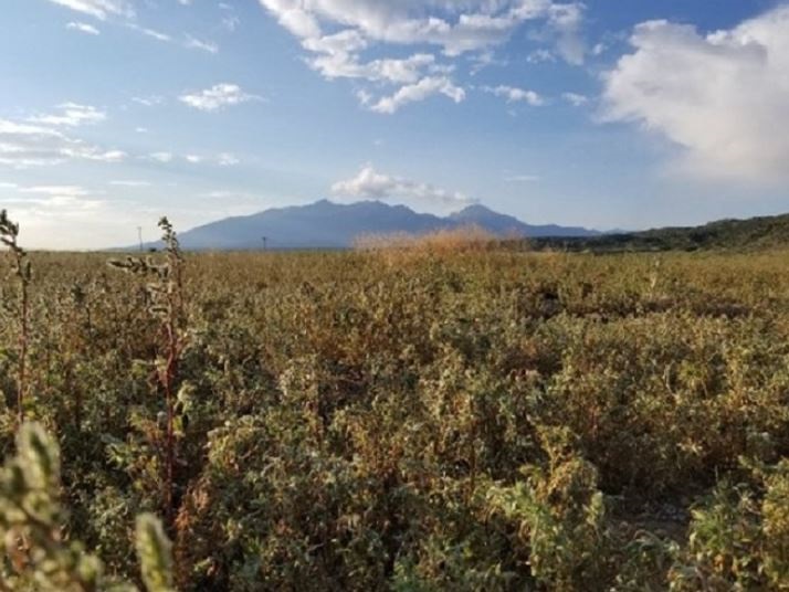 milehighruralland.com_APN70203310