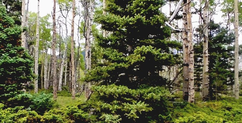 milehighruralland.com