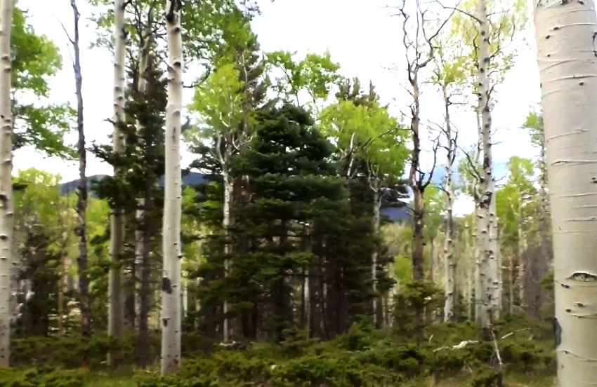 milehighruralland.com