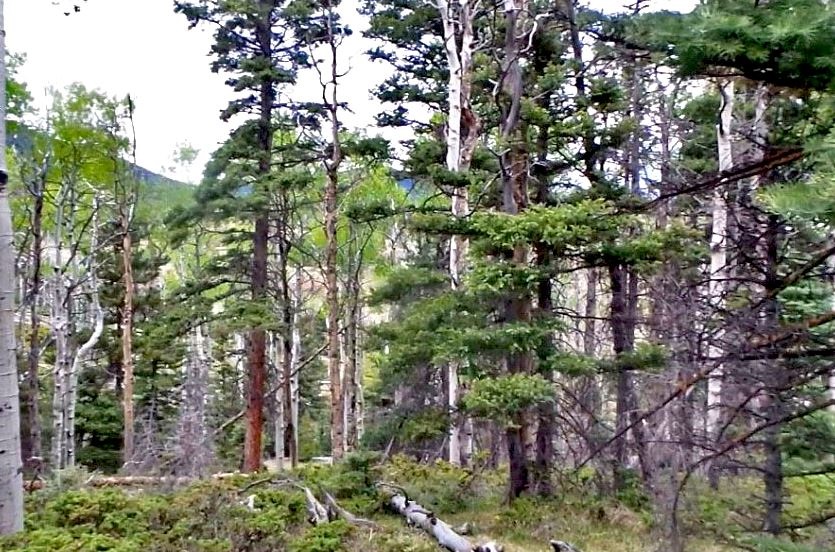 milehighruralland.com