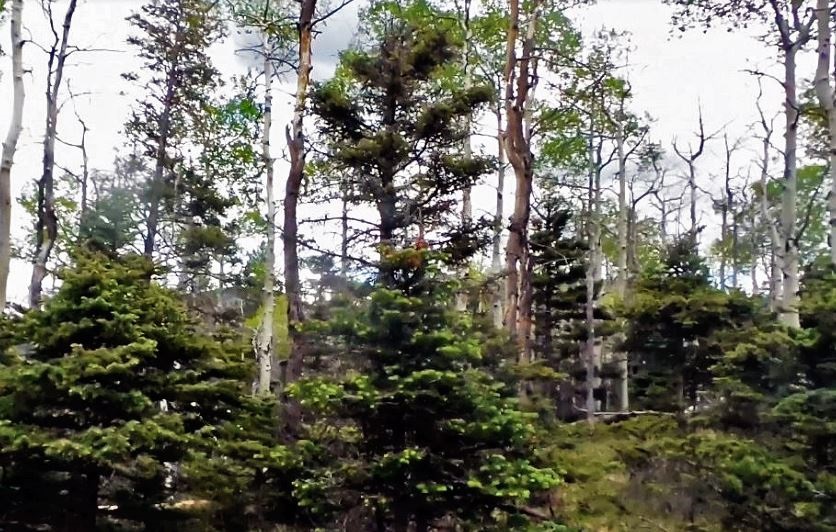 milehighruralland.com