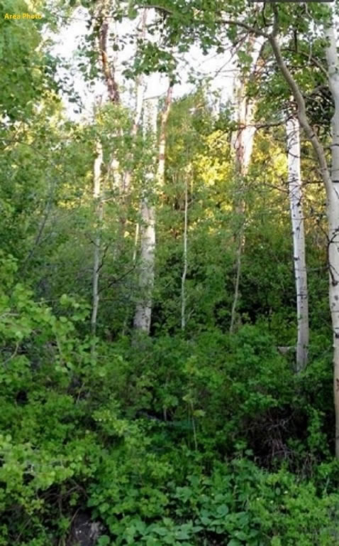 milehighruralland.com_APN15731400055