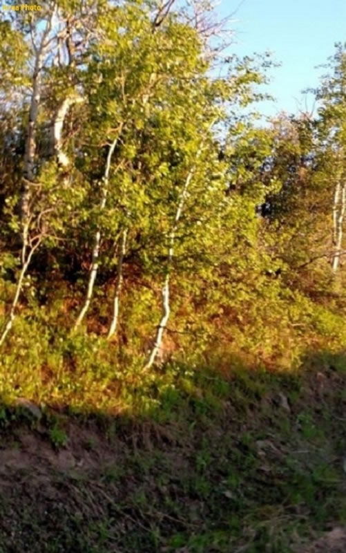 milehighruralland.com_APN15731400055