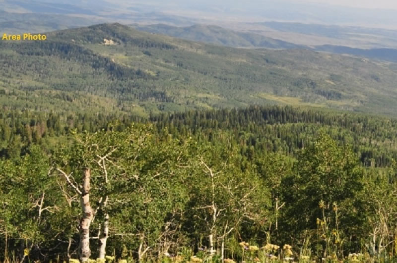 milehighruralland.com_APN15731400055