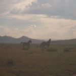 milehighruralland.com_APN40001500