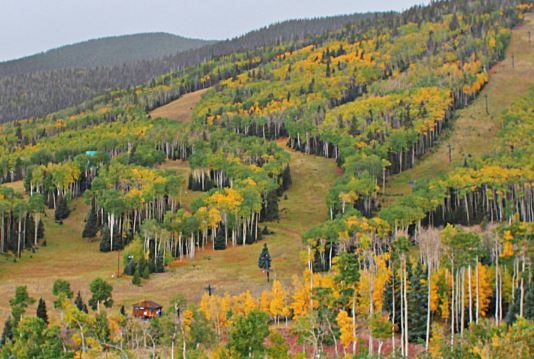 milehighruralland.com