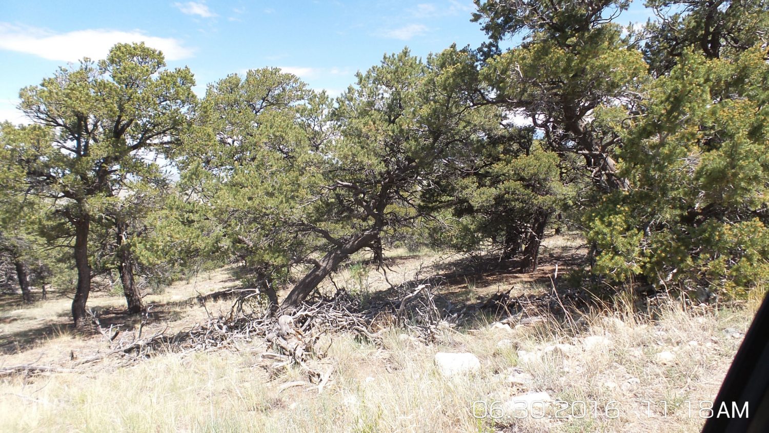 milehighruralland.com_APN514504314023