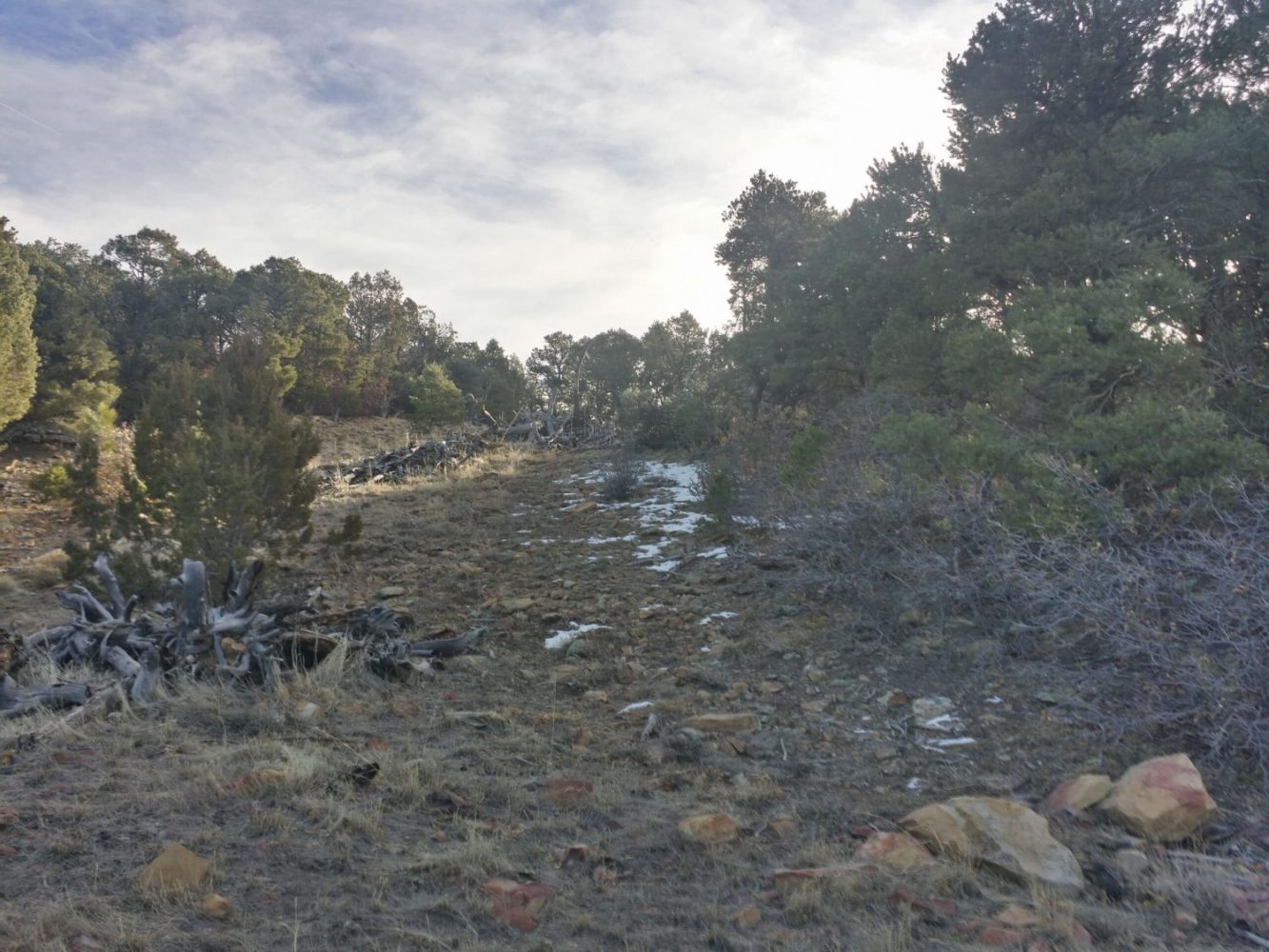 milehighruralland.com_APN30970