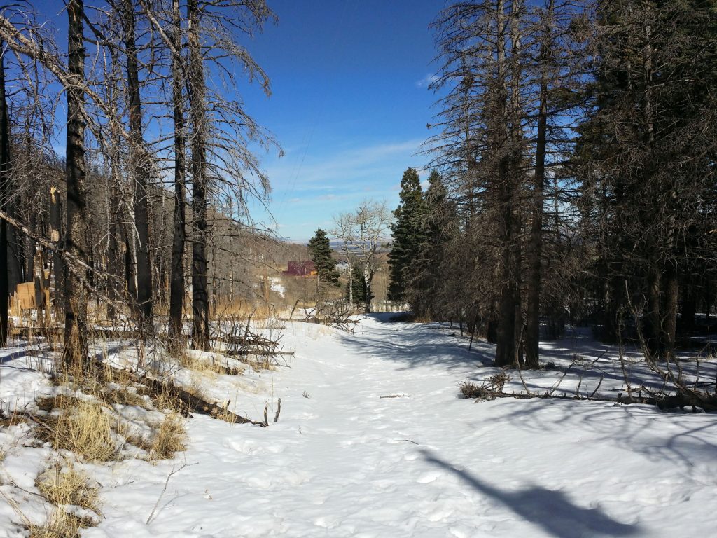 milehighruralland.com_APN10495