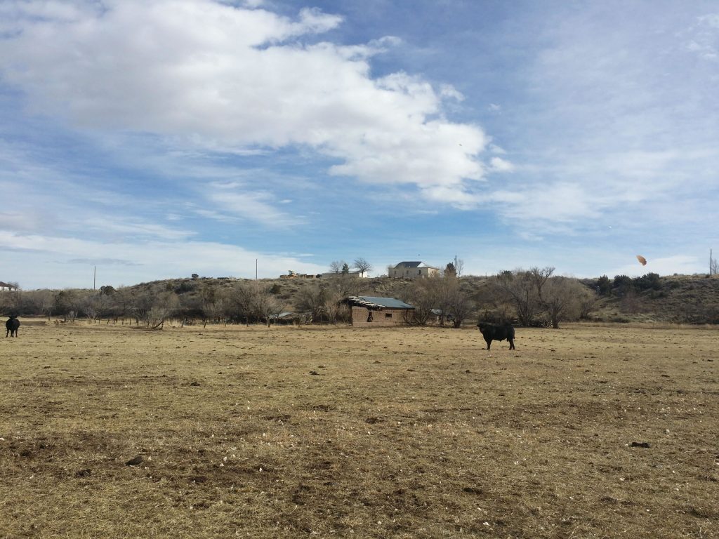 milehighruralland.com_APN41938