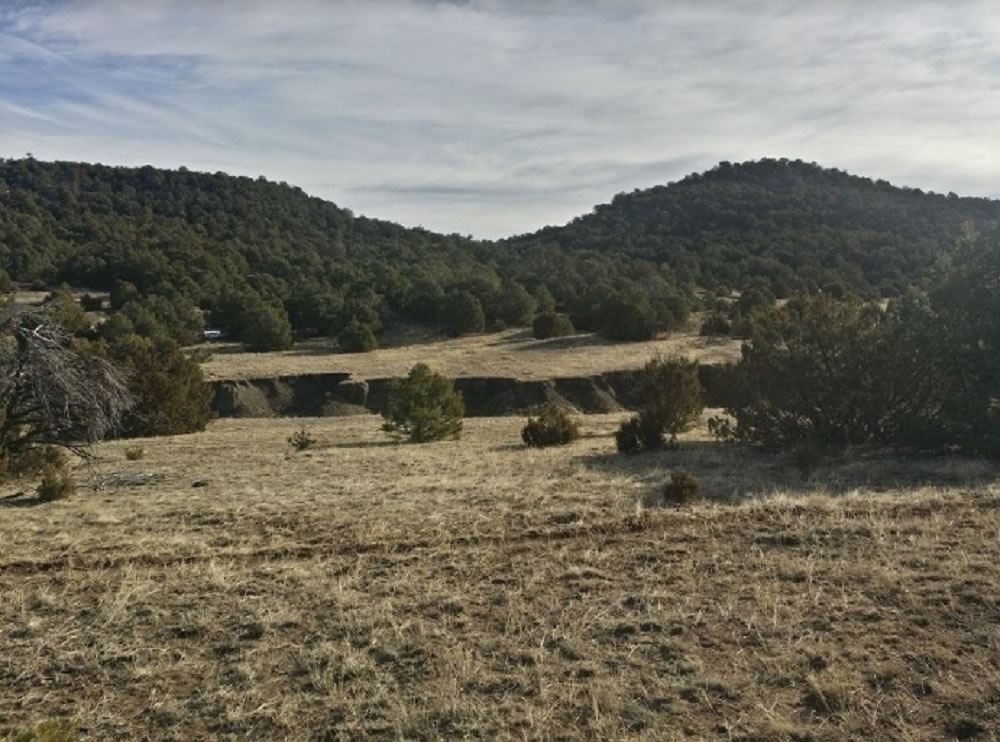 milehighruralland.com_APN40502