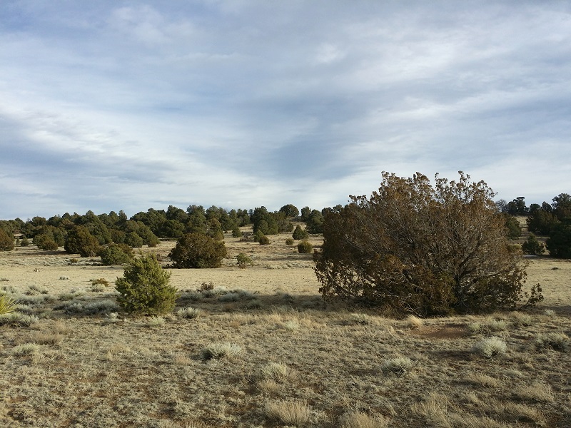 milehighruralland.com_APN146865