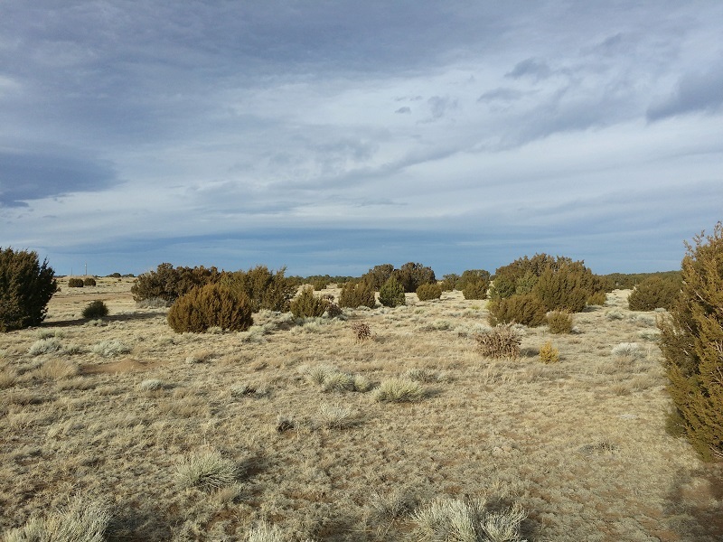 milehighruralland.com_APN146865