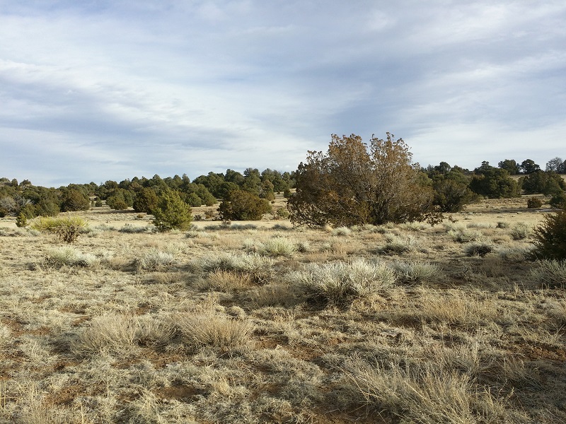 milehighruralland.com_APN146865