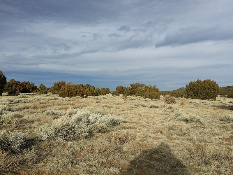 milehighruralland.com_APN146865