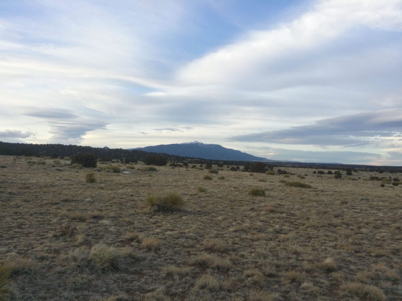 milehighruralland.com_APN23920