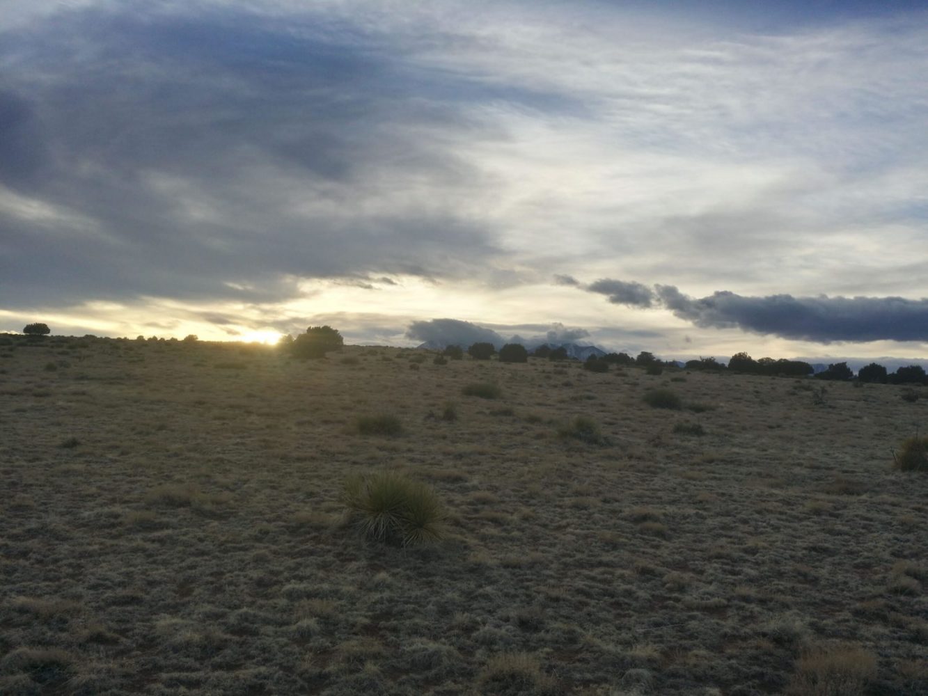 milehighruralland.com_APN23920