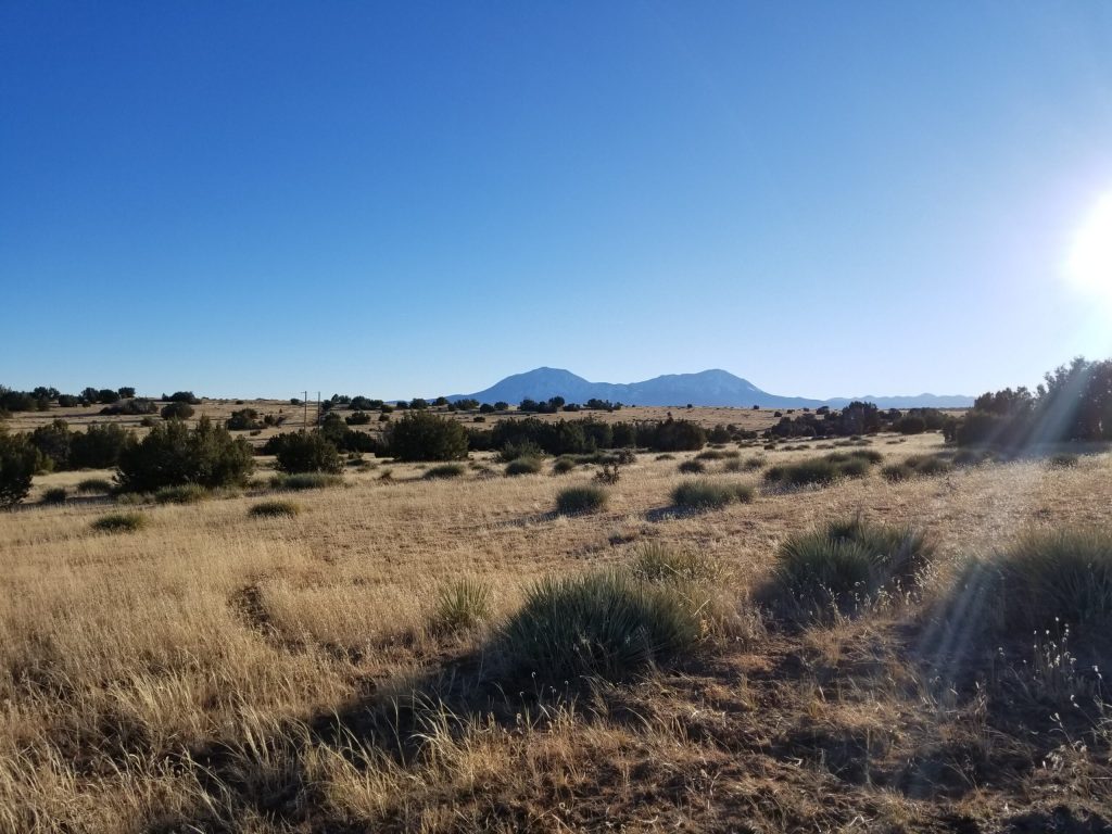 milehighruralland.com_APN:11203000 (3)