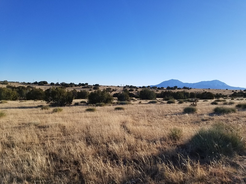 milehighruralland.com_APN: 2268126