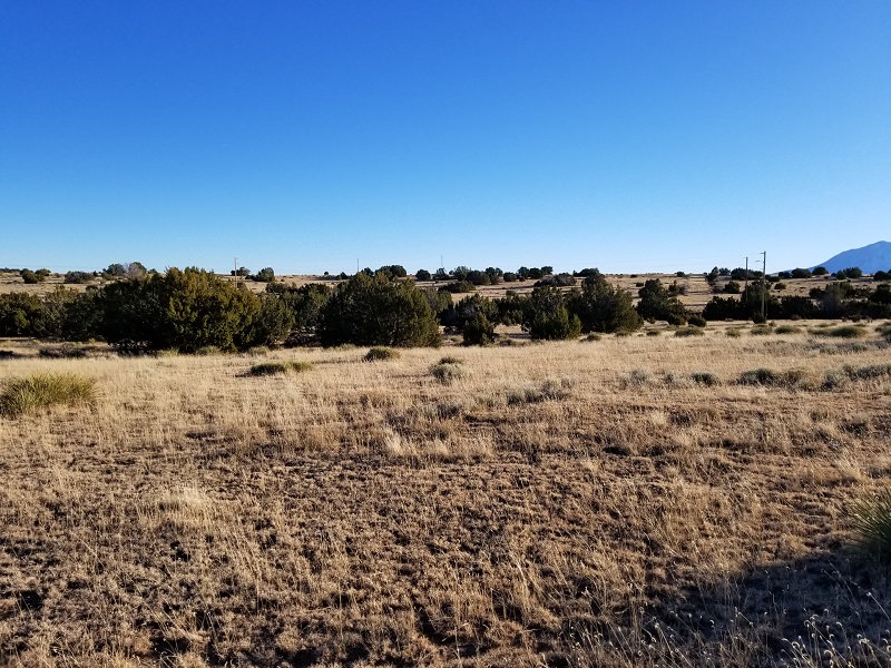 milehighruralland.com_APN: 2268126