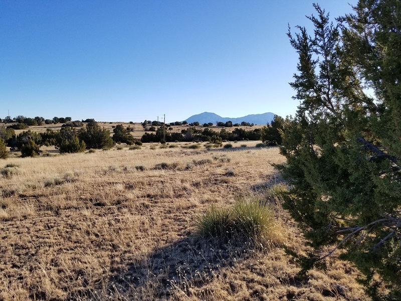 milehighruralland.com_APN: 2268126