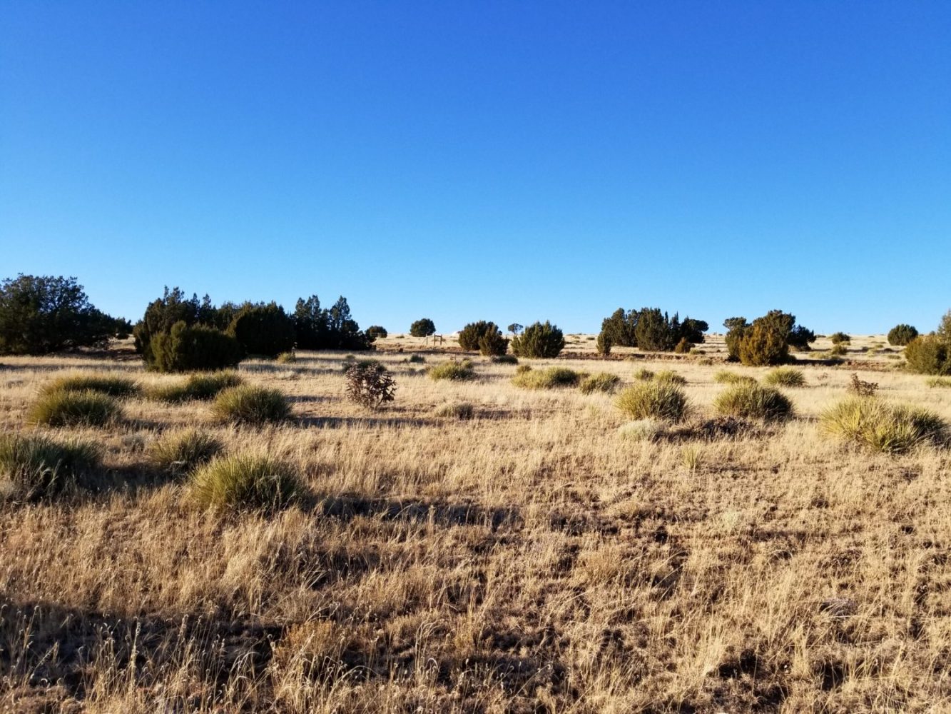 milehighruralland.com_APN: 2268126