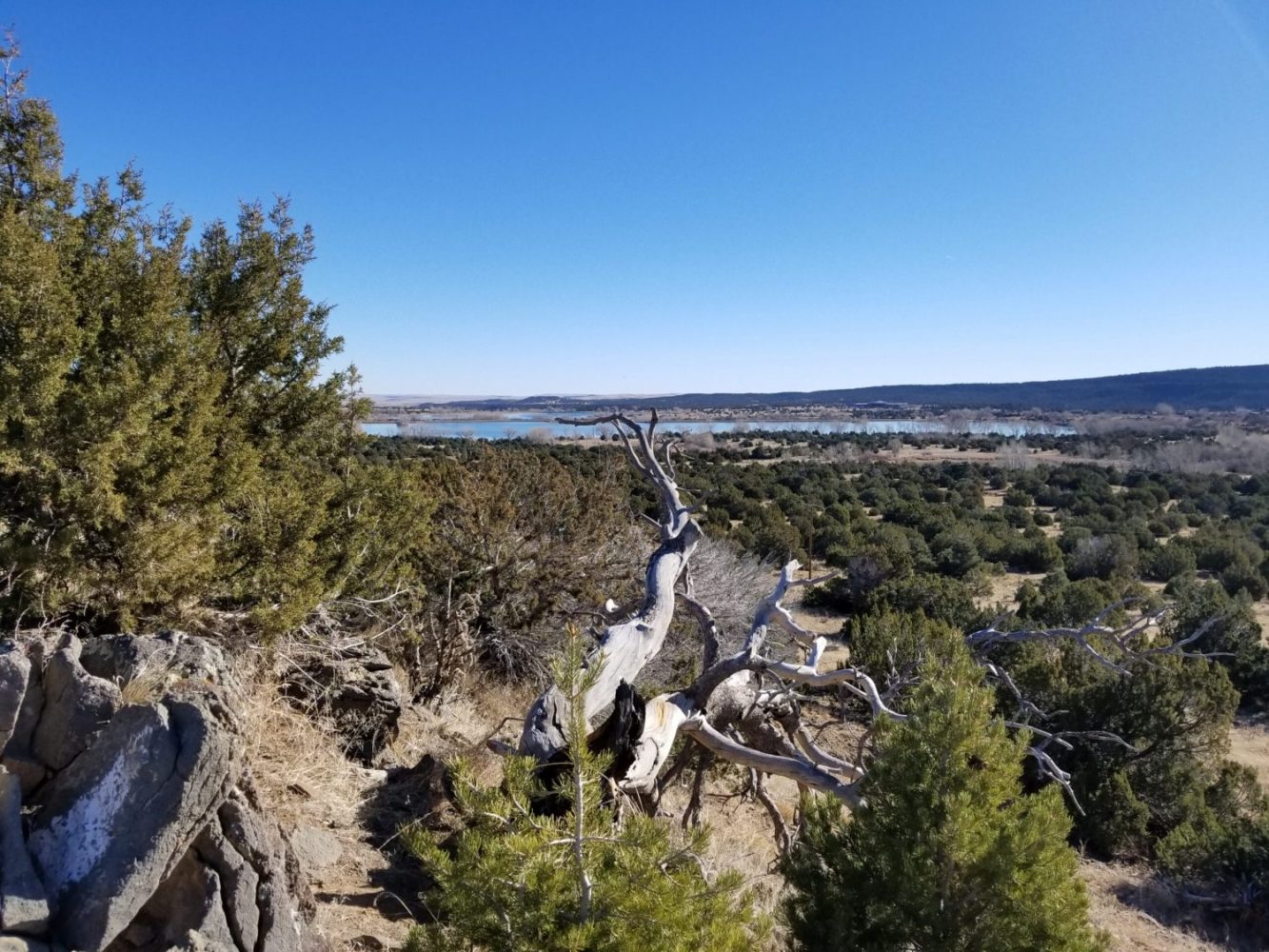 milehighruralland.com_APN37621