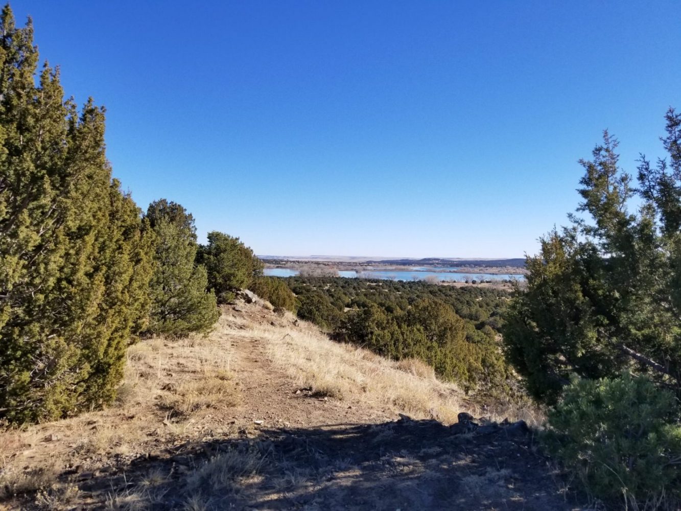 milehighruralland.com_APN37621