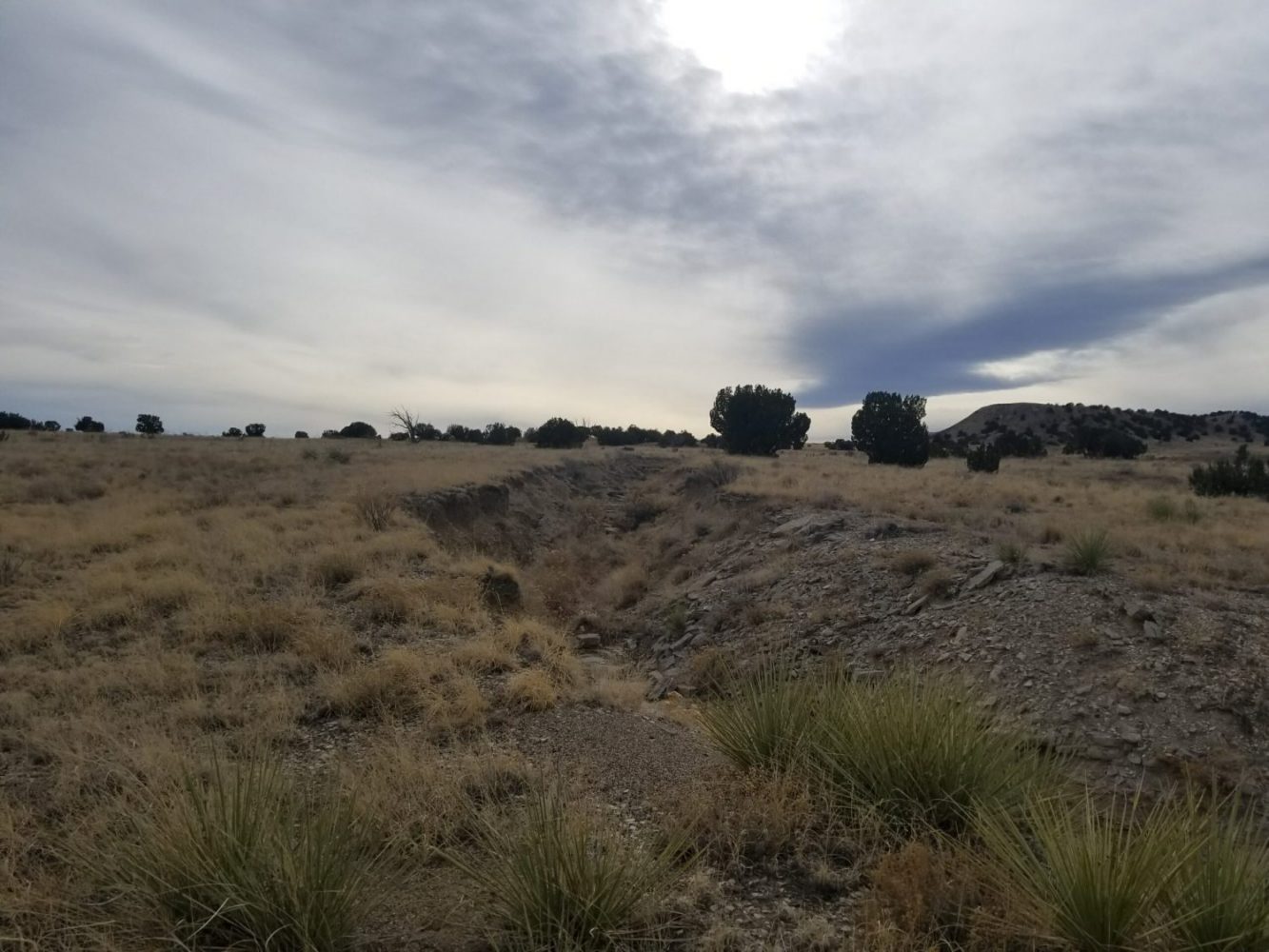 milehighruralland.com_APN11203000