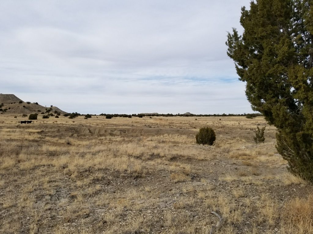 milehighruralland.com_APN11203000