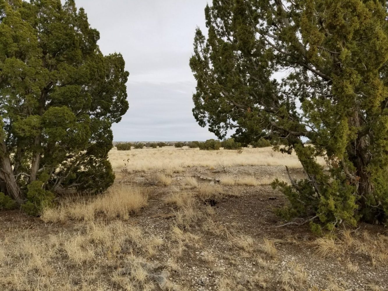 milehighruralland.com_APN11203000