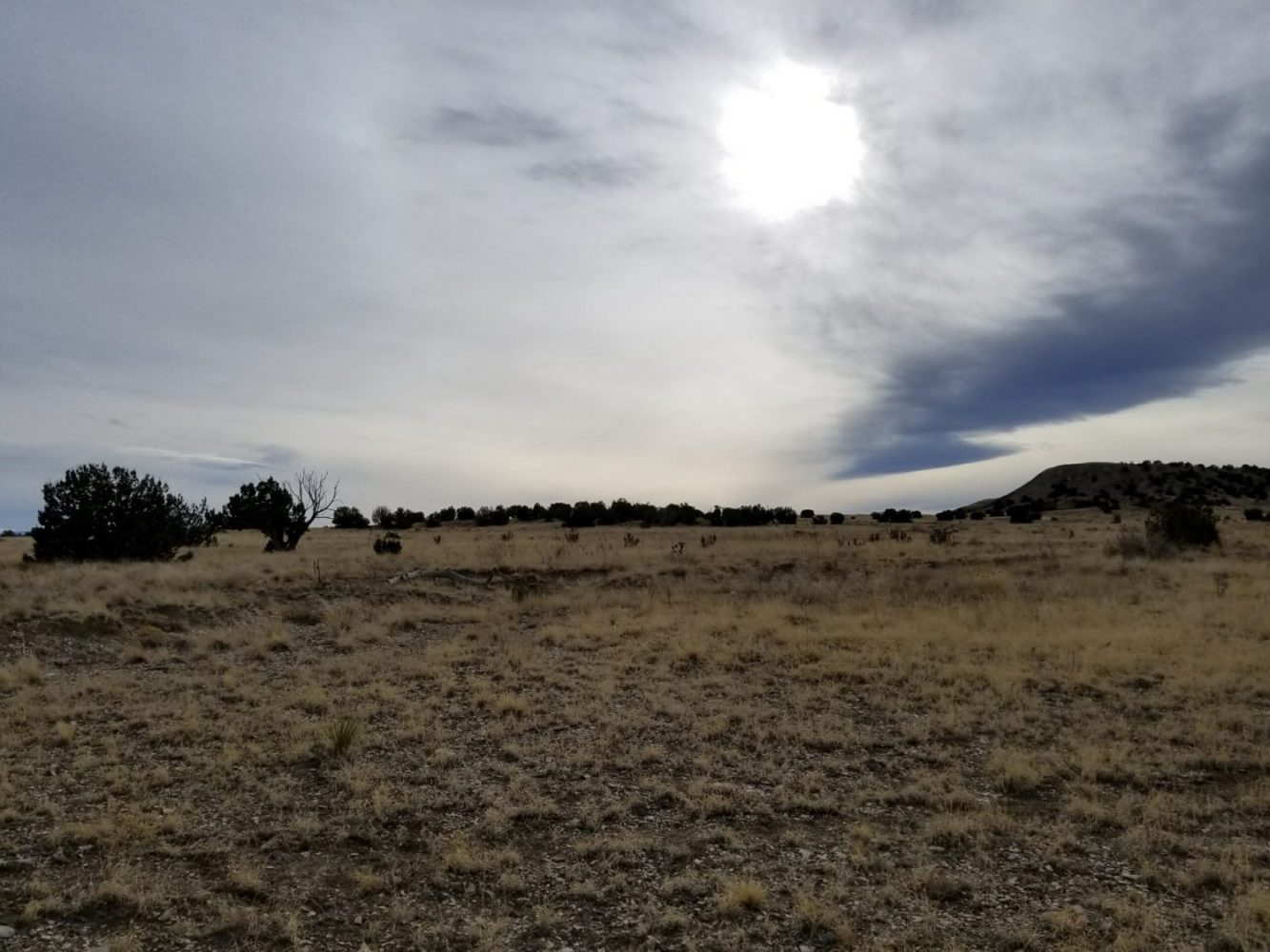 milehighruralland.com_APN11203000