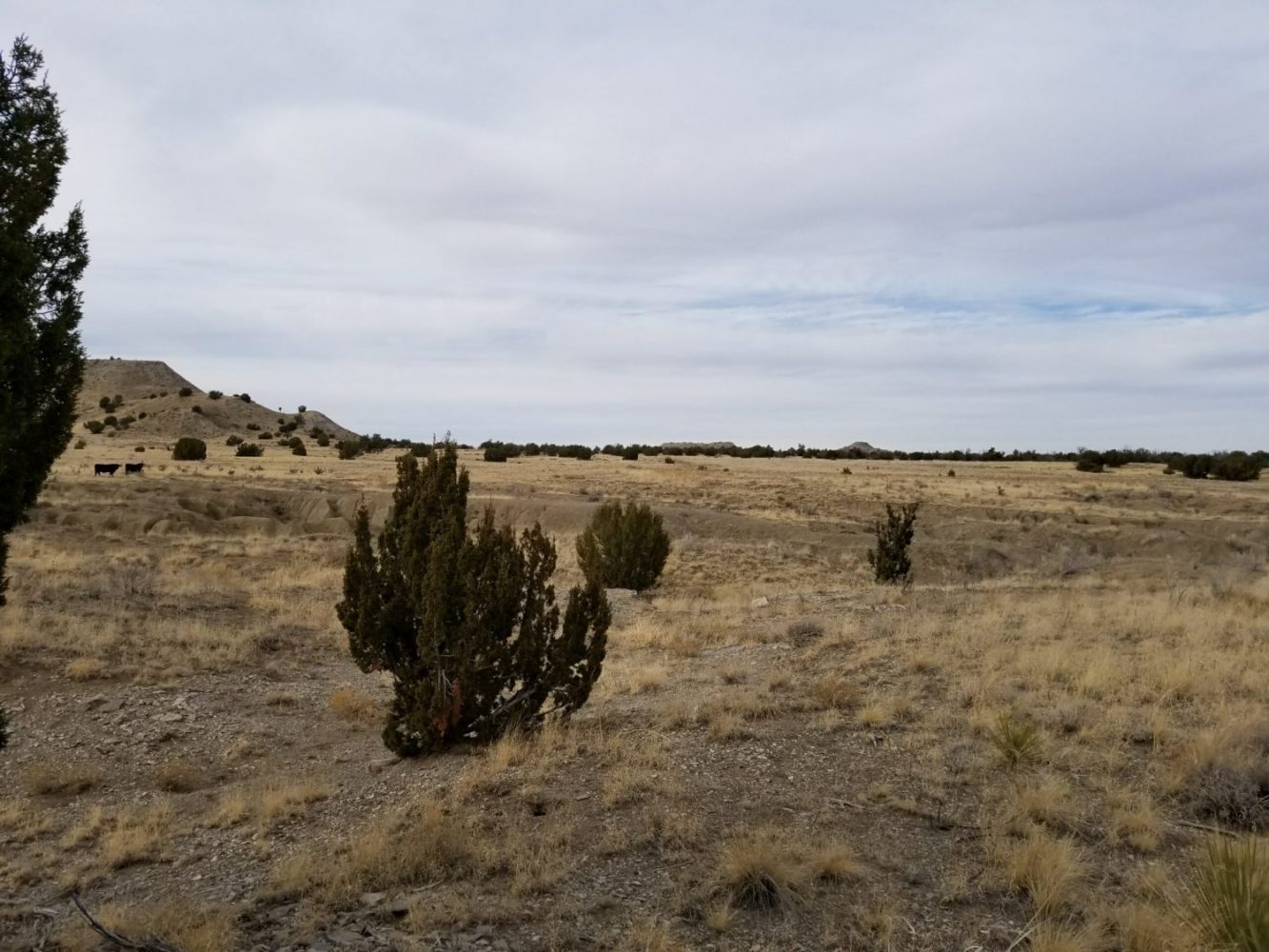 milehighruralland.com_APN11203000