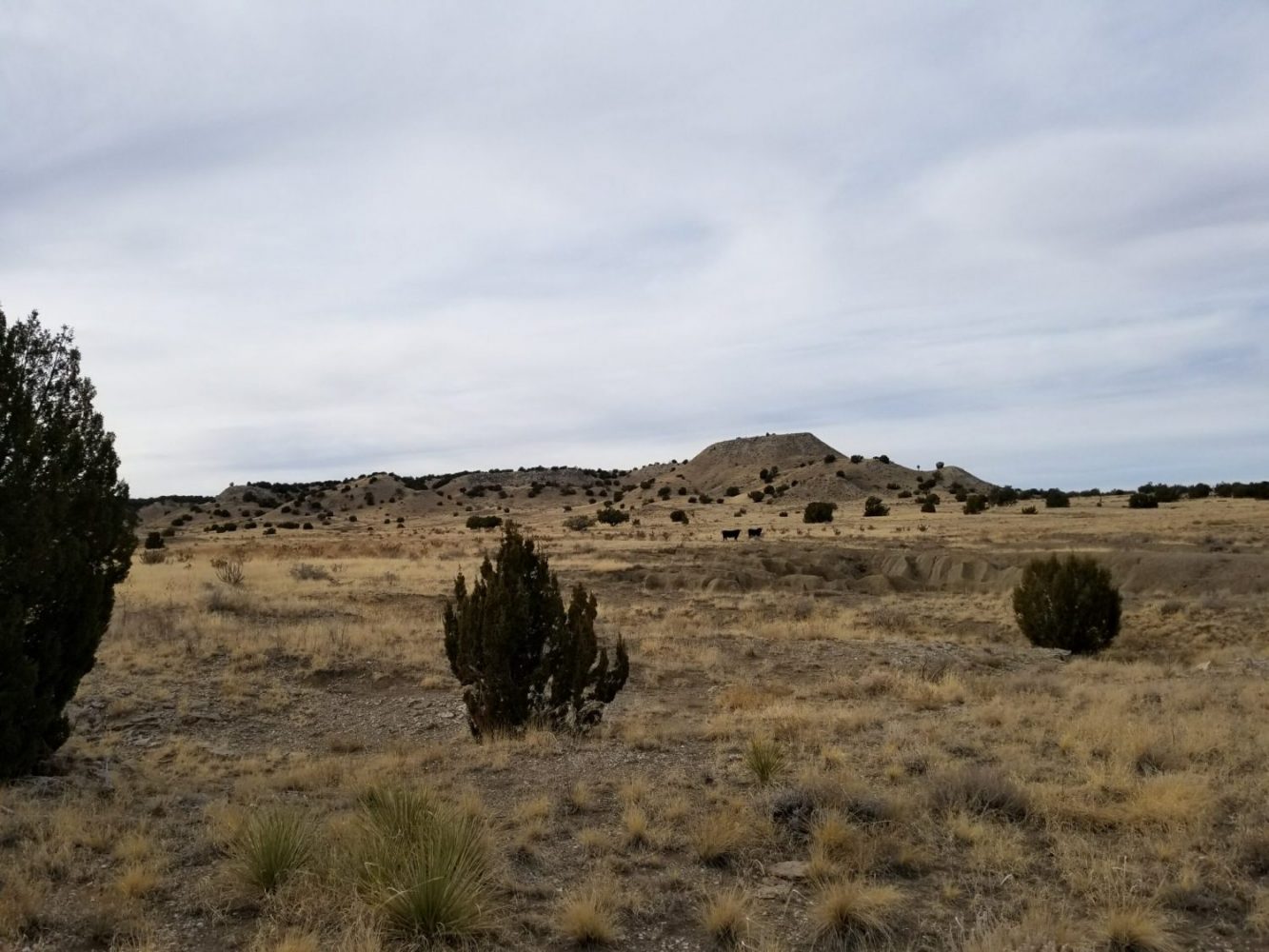 milehighruralland.com_APN11203000