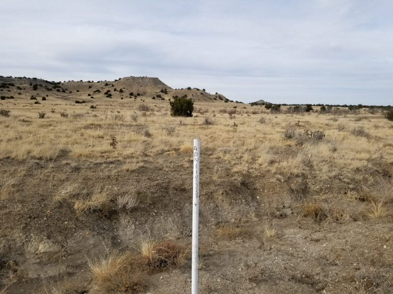 milehighruralland.com_APN11203000