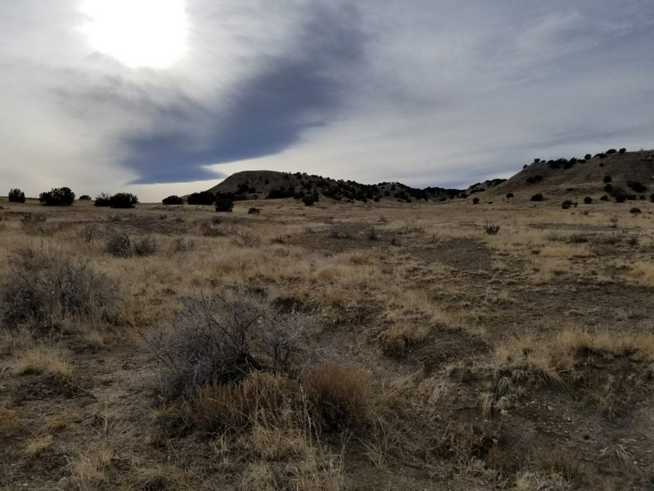 milehighruralland.com_APN11203000