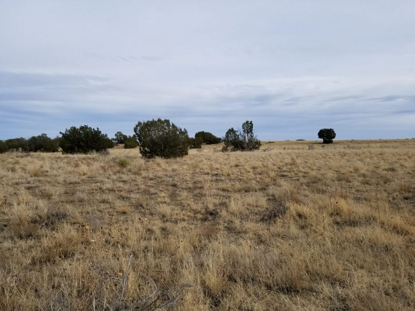 milehighruralland.com_APN11203000