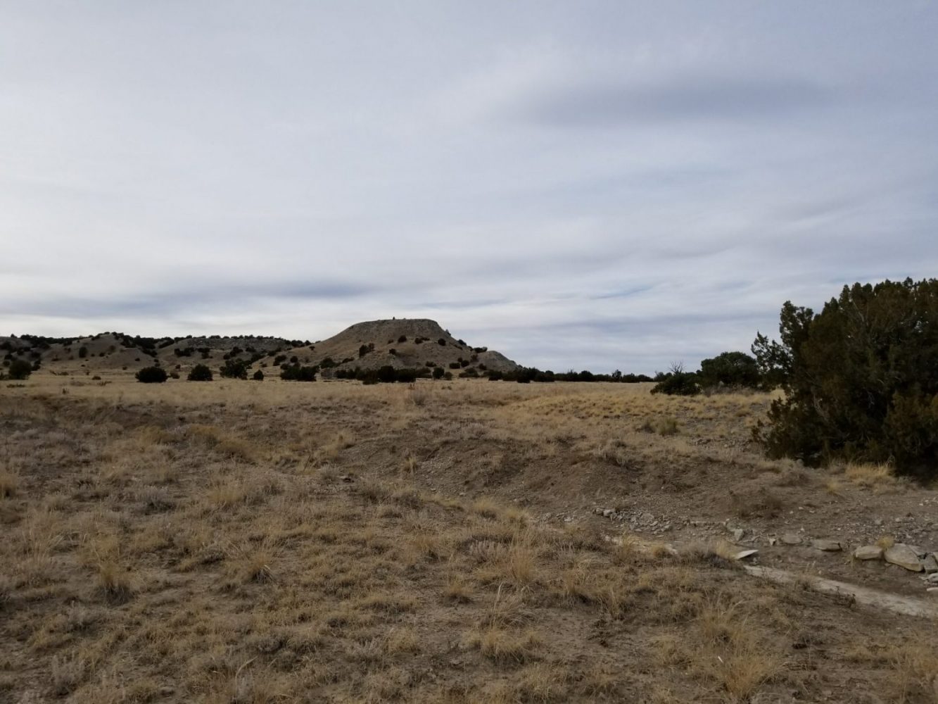 milehighruralland.com_APN11203000