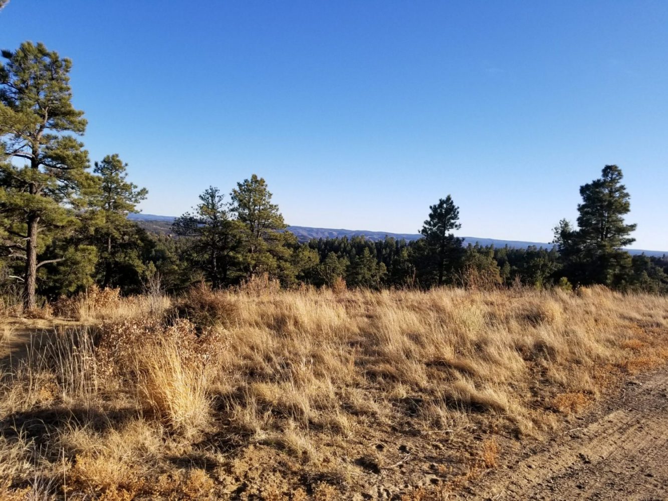 milehighruralland.com_APN10120000