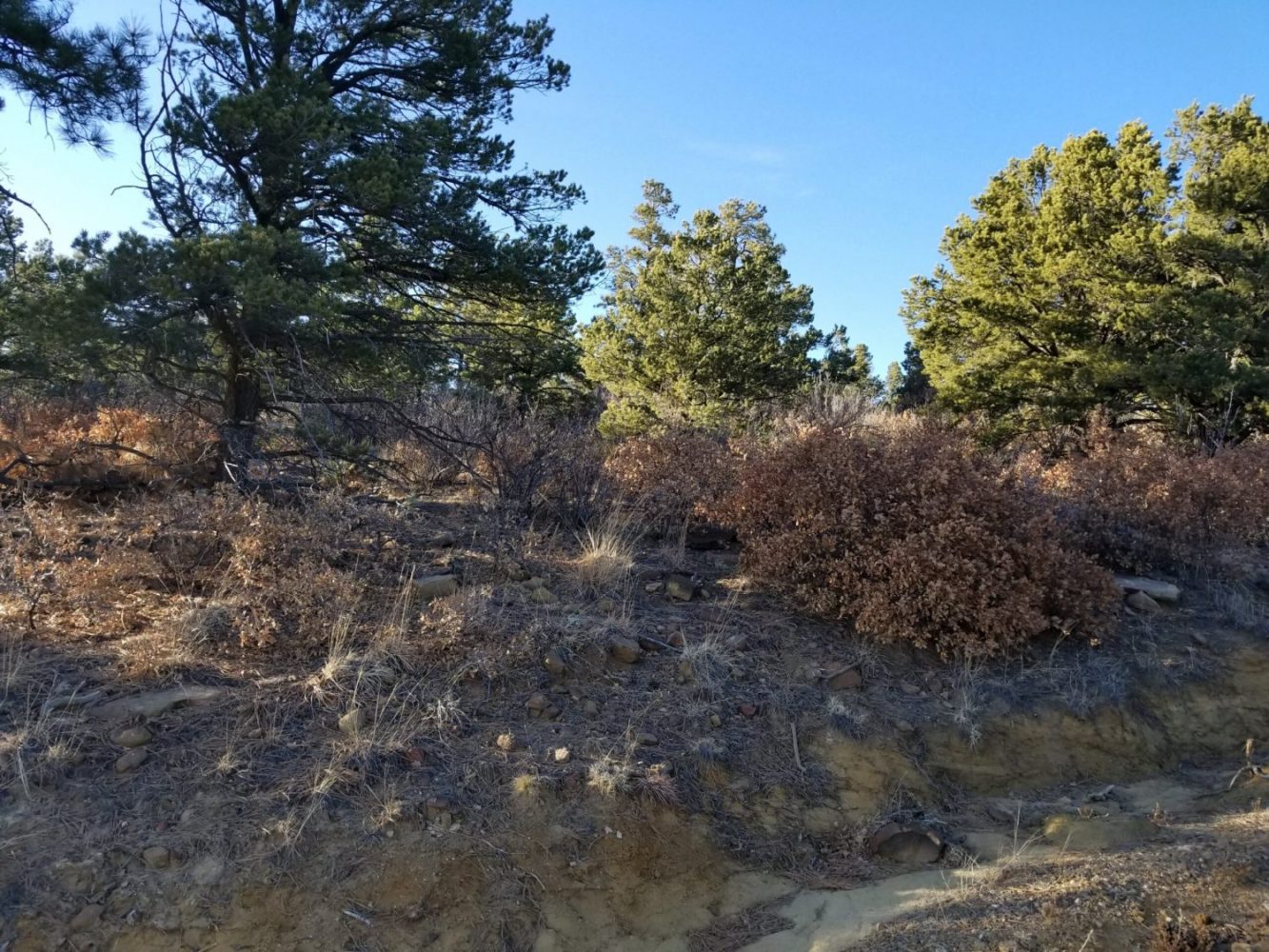 milehighruralland.com_APN10120000